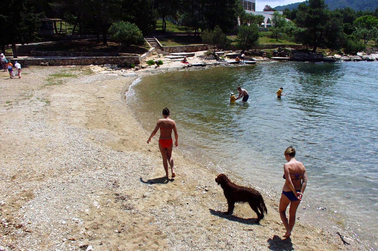 Apartments By The Sea Stari Grad, Hvar - 16392 スタリー・グラード エクステリア 写真
